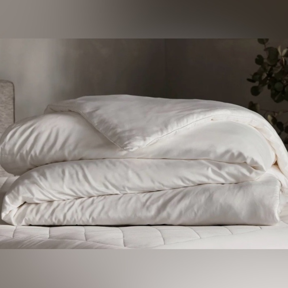 COZY EARTH Elegant White Silk Comforter TWIN